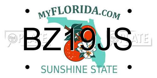 BZ19JS Florida License Plate