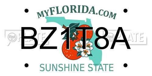 BZ1T8A Florida License Plate