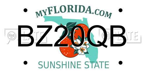 BZ20QB Florida License Plate