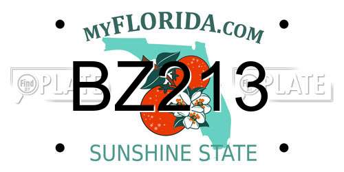BZ213 Florida License Plate