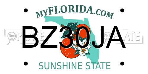 BZ30JA Florida License Plate