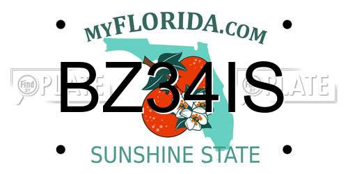BZ34IS Florida License Plate