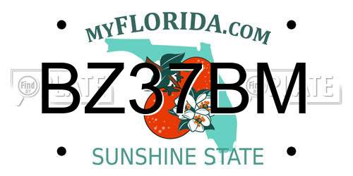 BZ37BM Florida License Plate