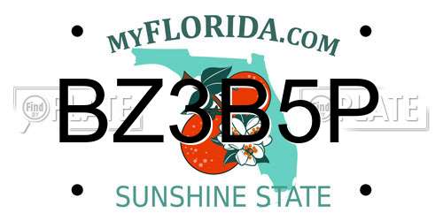 BZ3B5P Florida License Plate