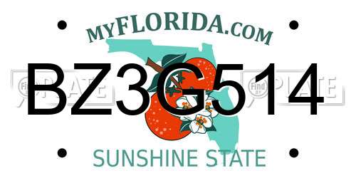 BZ3G514 Florida License Plate