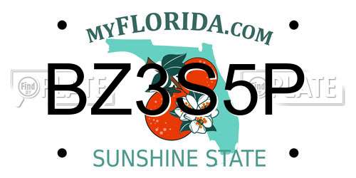 BZ3S5P Florida License Plate