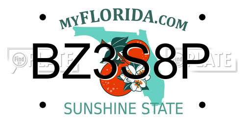 BZ3S8P Florida License Plate