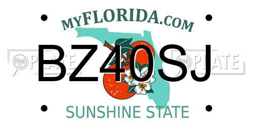 BZ40SJ Florida License Plate