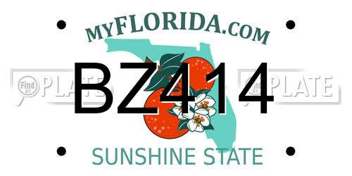 BZ414 Florida License Plate