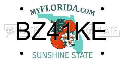 BZ41KE Florida License Plate