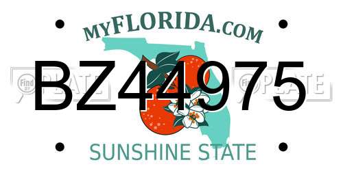 BZ44975 Florida License Plate