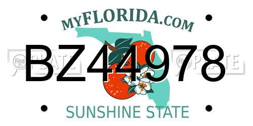 BZ44978 Florida License Plate