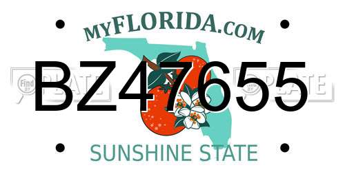 BZ47655 Florida License Plate
