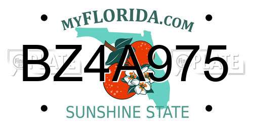 BZ4A975 Florida License Plate
