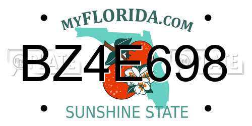BZ4E698 Florida License Plate