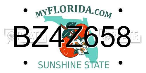 BZ4Z658 Florida License Plate