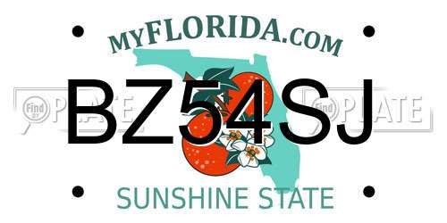 BZ54SJ Florida License Plate