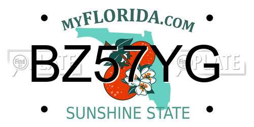 BZ57YG Florida License Plate