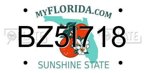 BZ5I718 Florida License Plate