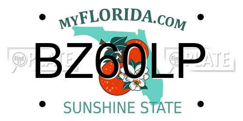 BZ60LP Florida License Plate
