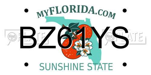 BZ61YS Florida License Plate