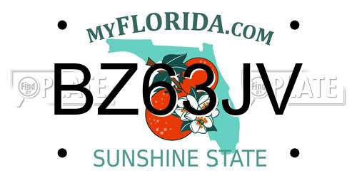 BZ63JV Florida License Plate