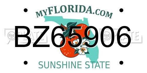 BZ65906 Florida License Plate