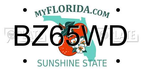 BZ65WD Florida License Plate
