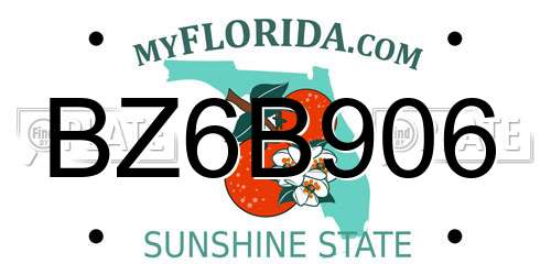 BZ6B906 Florida License Plate
