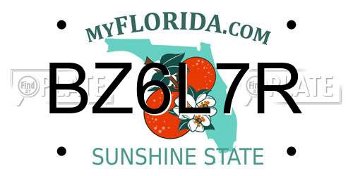 BZ6L7R Florida License Plate