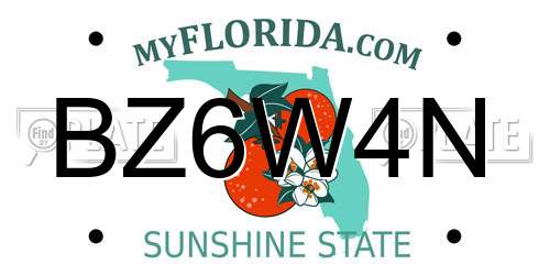 BZ6W4N Florida License Plate