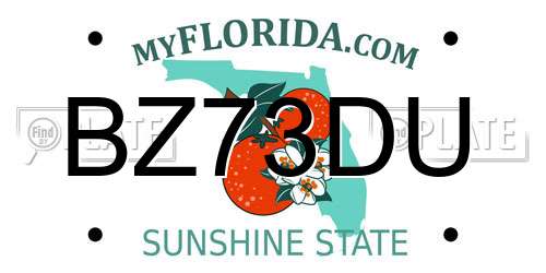 BZ73DU Florida License Plate