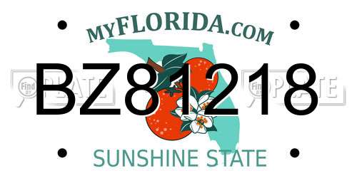 BZ81218 Florida License Plate