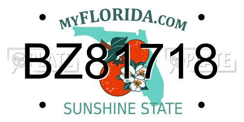 BZ81718 Florida License Plate
