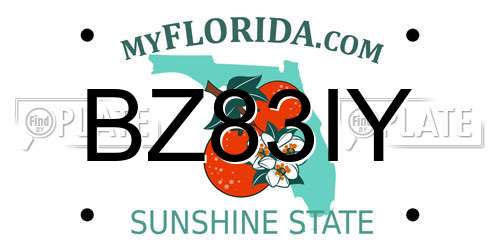 BZ83IY Florida License Plate
