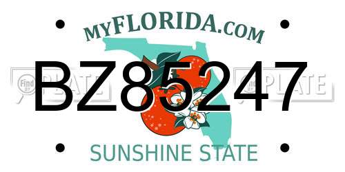 BZ85247 Florida License Plate