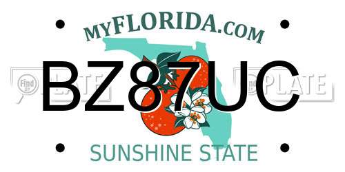 BZ87UC Florida License Plate