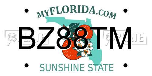 BZ88TM Florida License Plate
