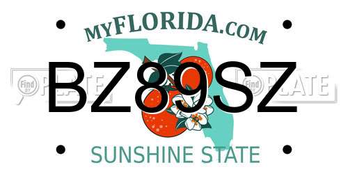 BZ89SZ Florida License Plate