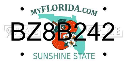BZ8B242 Florida License Plate