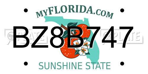 BZ8B747 Florida License Plate