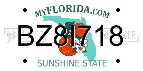BZ8I718 Florida License Plate
