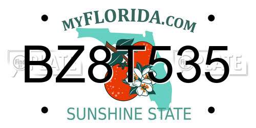 BZ8T535 Florida License Plate