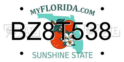BZ8T538 Florida License Plate