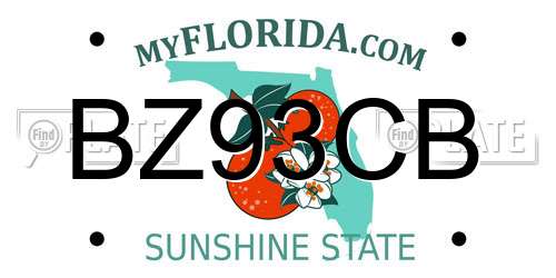 BZ93CB Florida License Plate