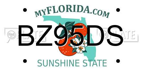 BZ95DS Florida License Plate