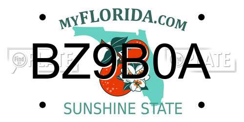 BZ9B0A Florida License Plate