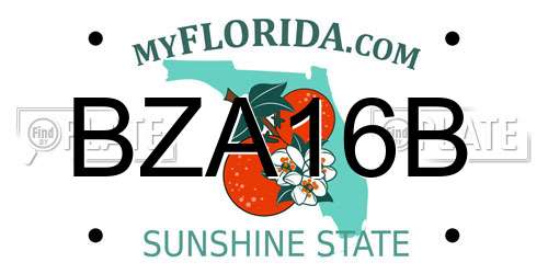 BZA16B Florida License Plate