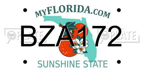 BZA172 Florida License Plate