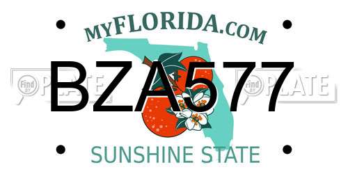 BZA577 Florida License Plate